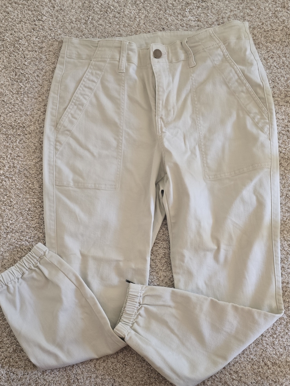 CAbi Compass Pant Jogger